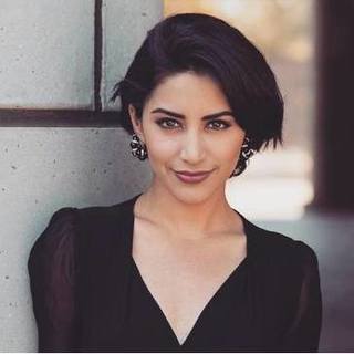 Srhairfeelers Pixie Cut Hair Wig